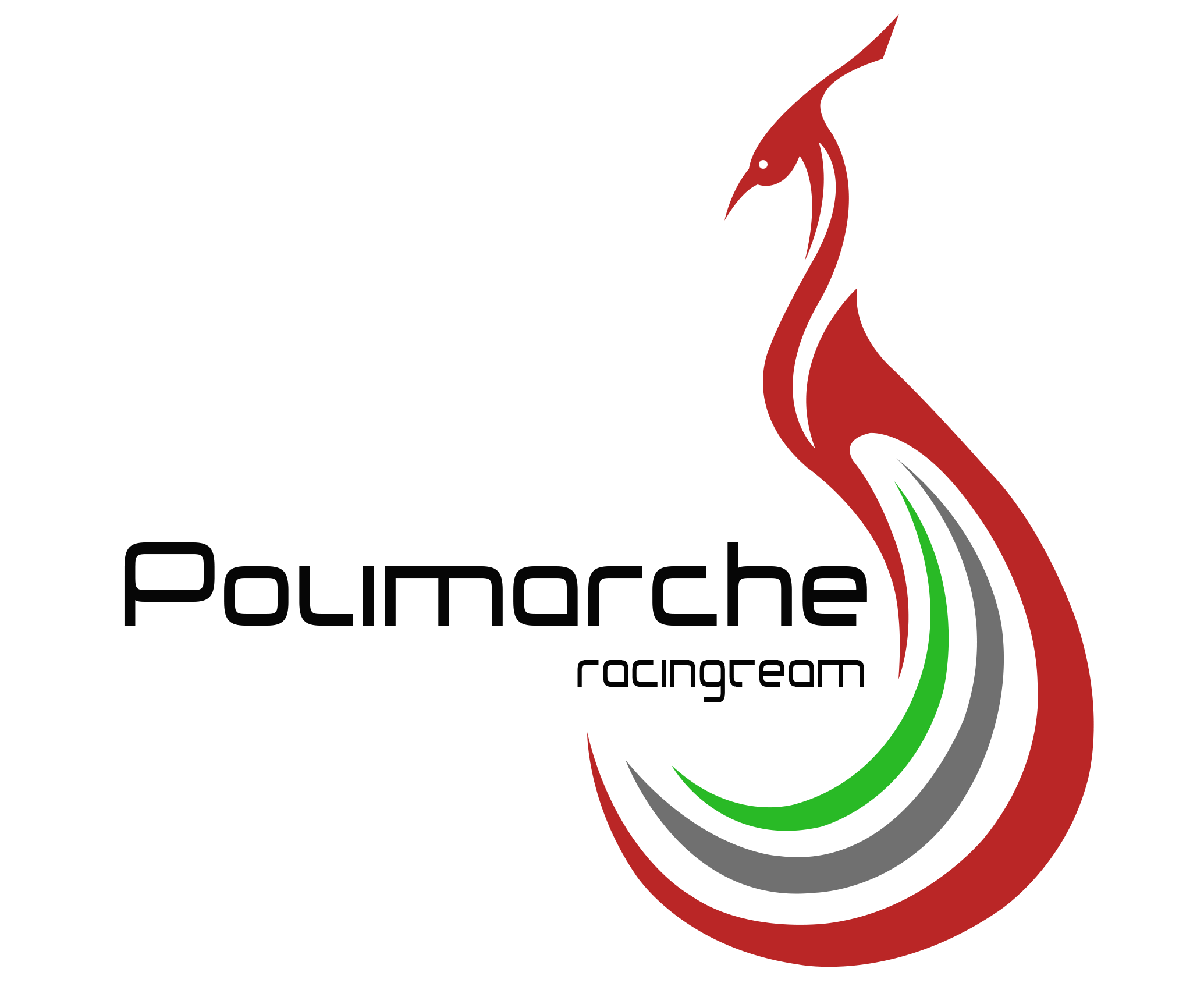 team logo